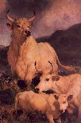 Sir Edwin Landseer Wild Cattle at Chillingham oil on canvas
